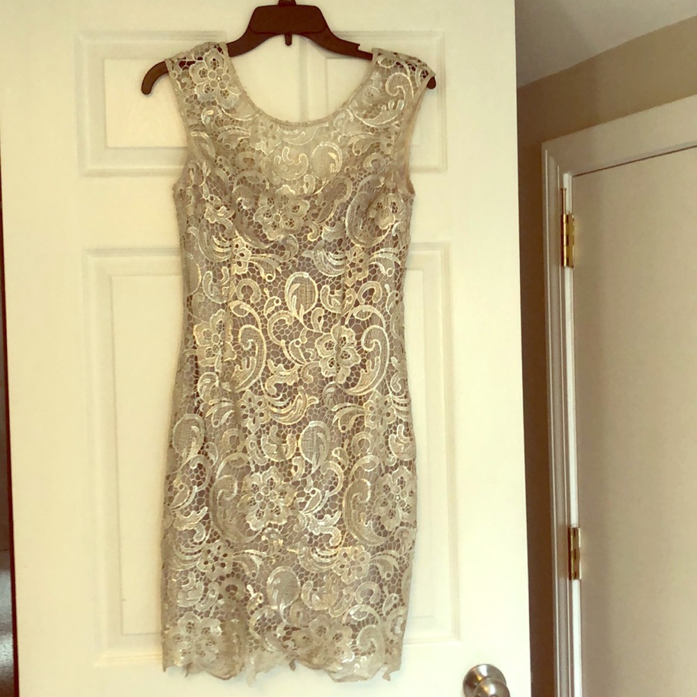 NWT Lace Silver Fitted Dress